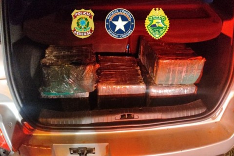 Polícia Federal, Receita Federal e Polícia Militar apreendem 119 quilos de maconha em Cambé