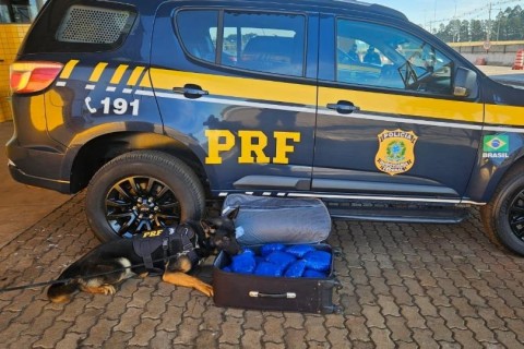 Jovem grávida é flagrada com quase 10 quilos de skunk em ônibus na BR 277