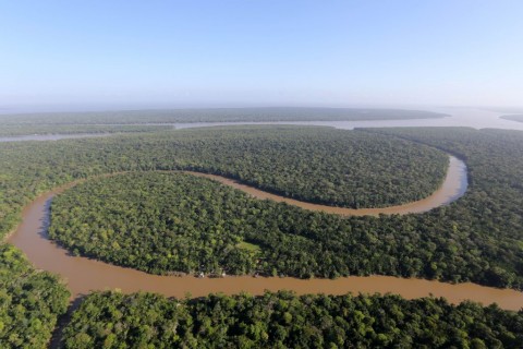 Desmatamento volta a subir na Amazônia, mas ainda é 2o melhor resultado