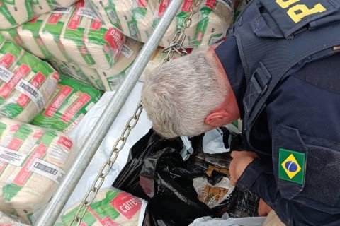 Maconha camuflada no arroz: PRF faz grande apreensão em Maringá