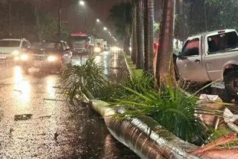 Carro colide com palmeiras e deixa três mulheres feridas em Maringá