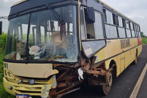 Ônibus com trabalhadores colide contra carro, e condutor morre na região de Maringá
